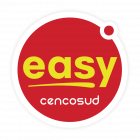 Easy logo